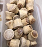 皇家小虎香菇豬肉燒麥40個(gè)/4斤 早餐半成品糯米燒賣(mài)兒童學(xué)生早點(diǎn)源頭直發(fā) 曬單實(shí)拍圖