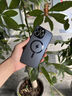 奶小鴨 【AG磨砂】適用蘋果13promax手機(jī)殼 iphone13promax保護(hù)套magsafe磁吸充電全包防摔男女款 石墨黑 曬單實(shí)拍圖