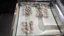 真空包裝機大型工業(yè)商用包裝設備干濕油粉自動(dòng)大米打包機包裝設備抽真空封口一體機食品熟食抽真空保鮮科諾迪 KND-380升級款 銅芯單泵+大變壓器 曬單實(shí)拍圖