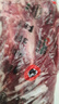 龍江和牛 國產(chǎn)和牛原切牛腱子2斤 生鮮牛肉 醬鹵燉煮食材【真原切】 曬單實拍圖