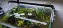 吉印i7plus水草燈led燈防水全光譜草缸燈魚缸照明綠草紅草專用發(fā)色燈 56cm功率20.5w/適合56-68cm缸 曬單實拍圖
