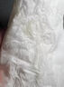 白帶丸治多種婦科炎癥外陰瘙癢婦科專(zhuān)用藥 白帶多發(fā)黃有異味內褲濕濕用什么藥婦科用藥 非處方藥 1盒【治白帶量多】 曬單實(shí)拍圖