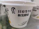 光明如實(shí) 洋槐蜂蜜原味  135g*6 發(fā)酵乳酸奶酸牛奶 0蔗糖健康輕食 曬單實(shí)拍圖