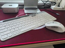 羅技（Logitech）時(shí)尚系列 K580 鍵盤 藍(lán)牙鍵盤 辦公鍵盤 無線鍵盤 便攜超薄鍵盤 筆記本鍵盤 平板鍵盤 芍藥白 曬單實(shí)拍圖