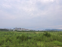 李寧籃球957防塵耐磨防滑室外水泥地7號成人學(xué)生專業(yè)賽事比賽訓(xùn)練禮物 曬單實(shí)拍圖