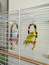 哈駱頓（HALODN）鳥籠鸚鵡專用鳥籠站桿鳥窩籠子虎皮玄鳳八哥鴿子畫眉中大型鳥籠 加高款珍珠白豪華鳥籠7件套 【防腐耐用，雙層可住4-8只】 曬單實拍圖