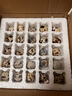 鮮窩窩 新鮮生鵪鶉蛋 鶉鳥蛋 生鮮鵪鶉蛋 附鹵蛋料包 100枚 有鹵料包 曬單實拍圖