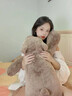 EZF趴趴熊抱枕女生睡覺(jué)專(zhuān)用靠墊夾腿熊娃娃送對象生日禮物送生日禮物 棕色趴趴熊 60CM【蓬松柔軟Q彈】 曬單實(shí)拍圖