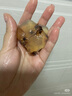 施丹蘭（STENDERS）茶樹香氛皂手工皂潔面皂精油沐浴進(jìn)口皂100g 教師節(jié)禮物 曬單實拍圖