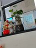 玻璃花瓶透明植物插花瓶水培容器大花瓶裝飾客廳擺件 【熱銷】透明水波紋（17*5.5*8） 1個裝 曬單實拍圖