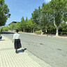渠辰黑色半身裙西裝裙黑色長裙a字裙半身裙半身裙夏季半身裙面試裙子 黑色 M【90-100斤】 曬單實拍圖
