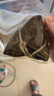 海南儋州粽子鮮黑豬肉咸蛋黃大肉粽鮑魚(yú)海鮮粽禮盒裝端午節送禮 豬肉蛋黃粽250g*10個(gè)【空運】 曬單實(shí)拍圖