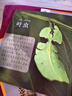童眼觀世界【4冊(cè)】鳥/動(dòng)物/恐龍/昆蟲 4-8歲兒童看圖識(shí)物幼兒園啟蒙益智早教繪本百科全套彩圖注音版 曬單實(shí)拍圖