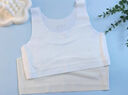 貓人兒童內衣女生6-12歲青春發(fā)育期薄款小學(xué)生少女一階段無(wú)痕背心文胸 【單件裝】白色 M 【75/建議45-60斤】 曬單實(shí)拍圖