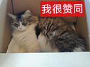 博音2.4G無線麥克風頭戴式教師上課小蜜蜂擴音器耳麥戶外藍牙音響話筒 二合一夾領手持版【米白】可夾領可手持 曬單實拍圖