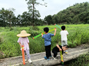 對白寬松休閑卷邊短袖襯衫女2025夏季新款氣質(zhì)襯衣松弛感顯瘦上衣 淺粉色 L 曬單實拍圖
