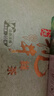 官方旗艦 國畫(huà)技法從入門(mén)到精通全套四冊 梅蘭竹菊花鳥(niǎo)魚(yú)蟲(chóng)山水石林四季百花基礎美術(shù)繪畫(huà)少兒成人零基礎教程書(shū) 國畫(huà)技法入門(mén)全4冊 曬單實(shí)拍圖