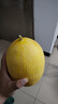 金甜脆蜜瓜1.5kg 曬單實拍圖