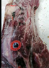 龍江和牛 國產(chǎn)和牛原切牛腱子2斤 生鮮牛肉 醬鹵燉煮食材【真原切】 曬單實(shí)拍圖