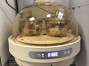 CLARA克拉拉速蒸鍋 3秒上汽蒸汽鍋電蒸鍋 雙模式蒸焗加熱 360°回流設(shè)計(jì)康寧餐具琥珀色玻璃電蒸鍋 4.5L 標(biāo)配款 曬單實(shí)拍圖