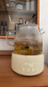 World Kitchen康寧養生壺全玻璃恒溫壺煮茶壺煮茶器1L辦公室家用花茶壺燒水壺電熱水壺（升級標準款+全玻璃蓋） 曬單實(shí)拍圖