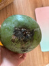京鮮生 攀枝花凱特芒果 凈重8.5斤 帶箱9斤 單果400g+ 生鮮水果源頭直發(fā) 曬單實拍圖