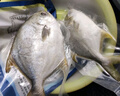 1號會員店（One's Member）甄選海南二去金鯧魚去鰓去內臟生鮮魚類 海鮮水產 700g/2條裝 曬單實拍圖