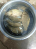 久巖環(huán)保鎢泥鉛快速調漂找底配重鉛墜垂釣魚(yú)配件塢烏污泥鉛皮套裝 環(huán)保鎢泥鉛【8g/盒】 無(wú)規格 曬單實(shí)拍圖