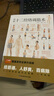 圖解十二經(jīng)絡(luò )調筋術(shù) 十二經(jīng)筋疏通法全圖解 一學(xué)就會(huì ) 50種經(jīng)筋病癥的康復訓練 12種經(jīng)筋功用介紹 10大經(jīng)筋療法方法解讀 圖解十二經(jīng)絡(luò )調筋術(shù) 曬單實(shí)拍圖