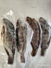 翔泰海南三去羅非魚/海南鯛1400g/共4條免處理 生鮮魚類 海鮮水產(chǎn)  曬單實拍圖