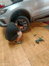 佳通(Giti)汽車輪胎225/60R18 100H F50原配長安CS75 PLUS適配 瑞虎7 曬單實拍圖