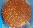 滇品客云南特產(chǎn)大蕎餅農(nóng)科院蕎三香五仁玫瑰豆沙老式大月餅云腿蕎麥粑粑 三香蕎餅+洗沙蕎餅【300gx2袋】 曬單實拍圖