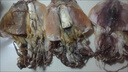 新曬大墨魚(yú)干正宗東海野生大墨魚(yú)干烏賊干新鮮墨魚(yú)干 大號(hào)墨魚(yú)干500克(10只-15只) 曬單實(shí)拍圖