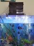 玩家寶貝大型魚缸過濾器上濾槽滴流盒抽屜式防溢流抽拉式盒子鋁合金過濾槽 9盒+濾材 曬單實拍圖