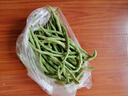 新鮮現(xiàn)摘四季豆角農(nóng)家蔬菜九月青油豆角整箱蔬菜生鮮源頭直發(fā) 云南四季豆新鮮現(xiàn)摘【凈重1斤】 曬單實拍圖