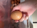 赤東森之卵無(wú)抗鮮雞蛋90枚商業(yè)裝紅心可生食溫泉當日鮮卵 曬單實(shí)拍圖