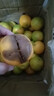 柏饞新鮮夏橙子薄皮榨汁商用應(yīng)季水果新鮮臍橙整箱批發(fā)手剝甜橙整箱送 9斤精品裝凈重8.5斤 65-70mm吃貨優(yōu)選 曬單實(shí)拍圖
