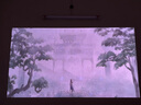 Vidda C2至臻版 海信4K超高清三色激光云臺(tái)投影儀家用100吋家庭影院電視(萊茵0有害藍(lán)光)國家補(bǔ)貼 曬單實(shí)拍圖