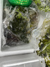 槿饈新鮮生菜組合4斤球生菜紅葉等6種沙拉蔬菜輕食蔬菜包 2000g無(wú)醬 曬單實(shí)拍圖