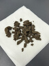 光合未來(lái) 太空種植杯 室內(nèi)盆栽蔬菜水果綠植 兒童育苗種子植物生長(zhǎng)觀察杯 太空種植杯-番茄 曬單實(shí)拍圖