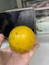 壹萌果蔬正宗廣西皇帝柑橘子貢柑貢橘新鮮水果當季現摘水果中秋禮盒禮品 5斤清甜優(yōu)選果丨50MM+ 凈4.5斤 曬單實(shí)拍圖