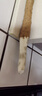 京鮮生 焦作溫縣沙土鐵棍懷山藥 5斤40-50cm 新鮮蔬菜可溯源 源頭直發(fā) 曬單實拍圖