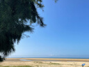 藍河（blue river）【新國標】幼兒配方綿羊奶粉 12一36 月齡 3段800g罐裝新西蘭進(jìn)口 曬單實(shí)拍圖