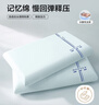 博洋家紡 深睡護(hù)頸記憶枕芯慢回彈成人睡眠枕頭亦柔(藍(lán))42*70+10cm 曬單實(shí)拍圖