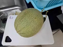 裕農叔新疆伽師八六王哈密瓜【順豐JD】新鮮當季老漢香甜蜜瓜孕婦水果 4-5斤裝(1-2枚特大果)商超嚴選 曬單實拍圖