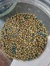 奧綠海蒂的花園旗艦店奧綠緩釋肥月季繡球花卉盆栽家用通用型植物花肥 奧綠318S 250g （肥效8-9個(gè)月） 曬單實(shí)拍圖