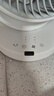艾美特（AIRMATE）空氣循環(huán)扇電風(fēng)扇家用桌面臺式落地節(jié)能四季小風(fēng)扇大風(fēng)量宿舍遙控?fù)u頭小型電扇輕音空調(diào)伴侶 R27 曬單實(shí)拍圖