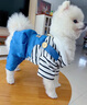 阿莫爾狗狗衣服秋冬款可牽引四腳背帶褲泰迪比熊博美小型犬寵物貓咪服裝 藍(lán)色【可牽引】 M(建議5-8斤具體參考胸圍背長(zhǎng)) 曬單實(shí)拍圖