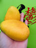 閩域?qū)r海南小臺(tái)芒果新鮮采摘當(dāng)季熱帶水果小臺(tái)芒現(xiàn)摘現(xiàn)發(fā)時(shí)令小臺(tái)芒 凈重8.5-9斤【單果50-70g】 -多規(guī)格可選 曬單實(shí)拍圖