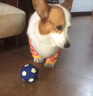 寵星記 狗狗護肘衣 大型犬 防灰關(guān)節保護套衣服 金毛邊牧拉布拉多哈士奇 藍色XL 曬單實(shí)拍圖